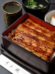 職人の技と秘伝のタレで焼き上げたうなぎは逸品！　愛知県三河産の活鰻を使用しています。