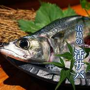 『五島サバのお刺身』
コリっとした食感を、サバで経験した事ありますか？身が活きているので、骨抜きが大変なんですww
早めに売り切れることがあります(^◇^;)
ご予約の際に、前もって伝えて頂けると確保します‼︎