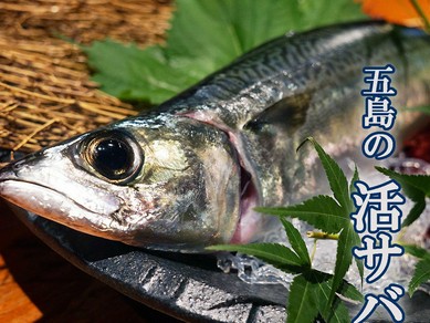 五島直送　活さば1480円（税抜）