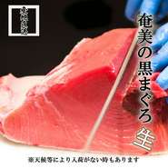奄美大島より、一度も冷凍することなく『生』のまま仕入れます。
天候等の影響を受けやすいので、不定期入荷の商品になります。
