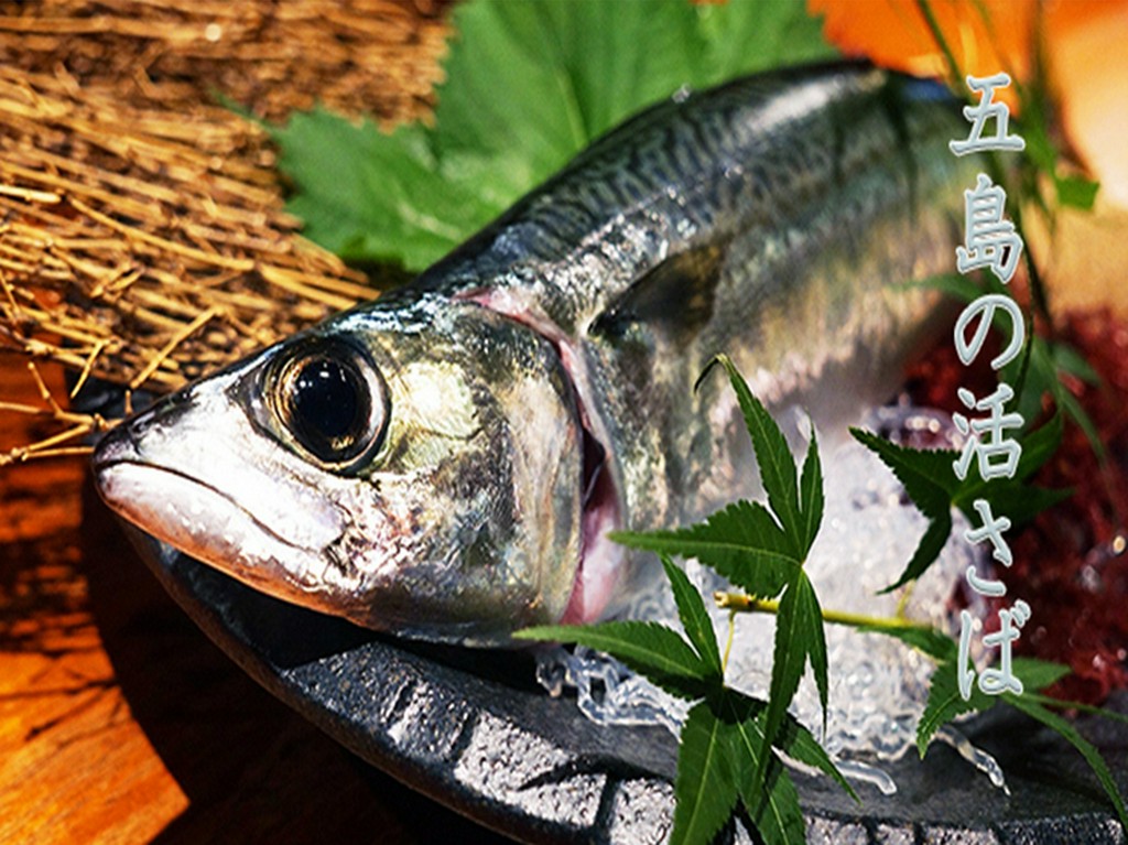 博多では、サバは生で食すのが定番です！