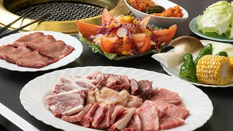 厳選したお肉を集合させた当店こだわりのコースです！味もボリュームも大満足のコースです。