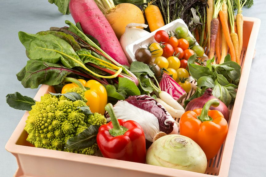 美しく色鮮やかな旬素材。日替りメニューで味わう季節の味