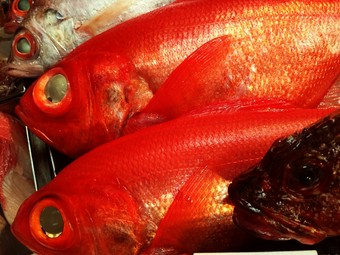 お造り色々ご用意しております