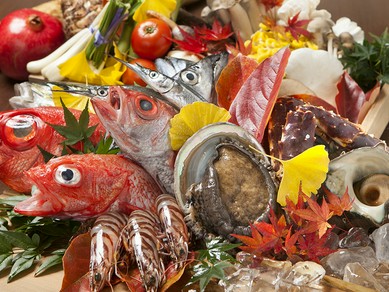 お誕生日や記念日でのご利用にも最適です。