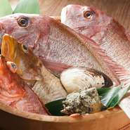 日間賀島出身のおやじのお父さんは、貝の漁師さん。お母さん特製の干物と共に直送される魚介類は、「間違いのない」美味しさです。その他の魚も市場から直接仕入れていますので、鮮度と味には自信があります。
