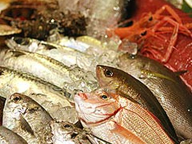 船から直送の自慢の鮮魚。仕入れによって毎日替わる漁師料理あり