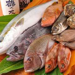 新潟県佐渡が島と村上より直送。旬の天然地魚いろいろ