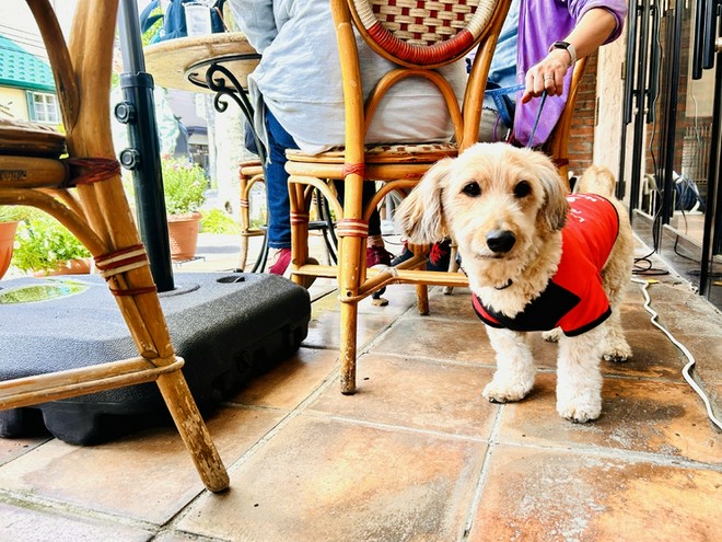 テラス席がある