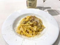 Bucatini Carbonara (egg yolk, pecorino cheese, guanciale)
