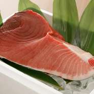 毎日仕入れる本鮪はお刺身やお寿司でお楽しみいただけます。まぐろと名古屋飯にこだわった料理をご堪能いただけます。