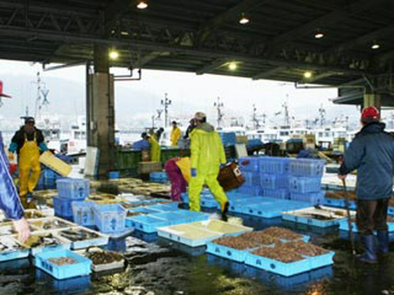 地元市場直接仕入れの新鮮な食材