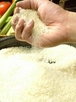 釜飯各種