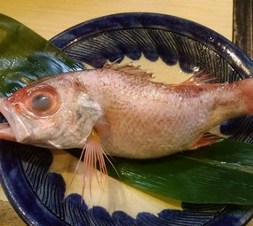 脂の乗った旬のお魚を炭火焼きで！