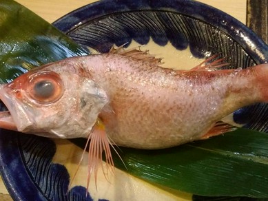 脂の乗った旬のお魚を炭火焼きで！