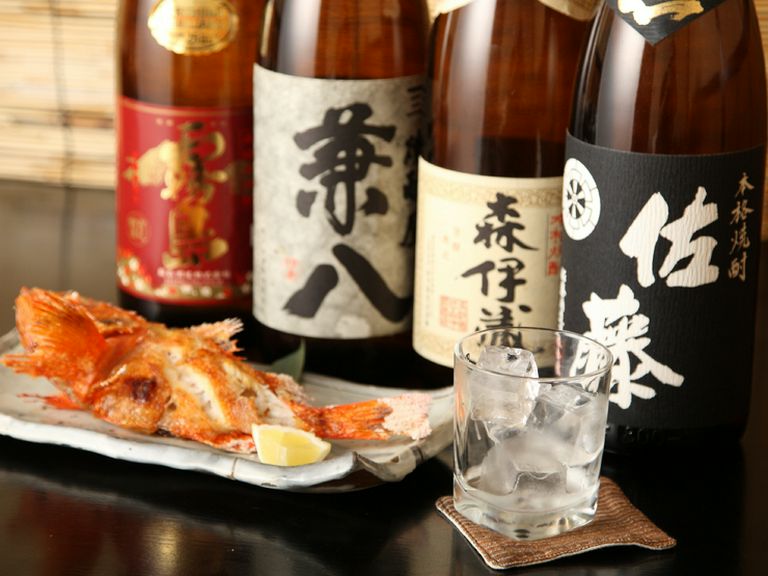 魚好きの方は、ぜひいらしてください!