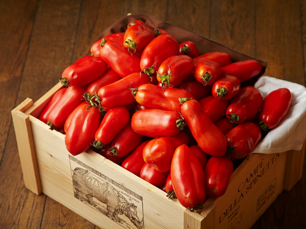 太陽の光を浴びて育てた、自家製サンマルツアーノトマト