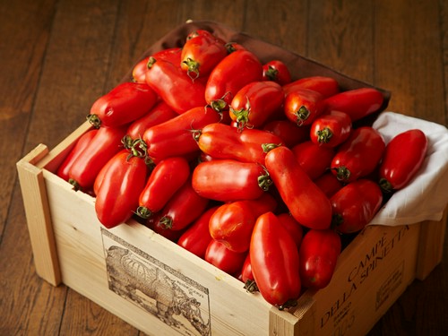 太陽の光を浴びて育てた、自家製サンマルツアーノトマト