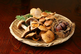 名古屋で接待なんて時…勘太郎の料理・珍味はきっと喜ばれる筈。