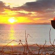 店主自慢の獲れたての貝を豪快に堪能できる海賊焼きの店。カキ、サザエ、ホタテを食べたいだけ食べられるとあって、高知県内のお客さんには穴場的お店です！