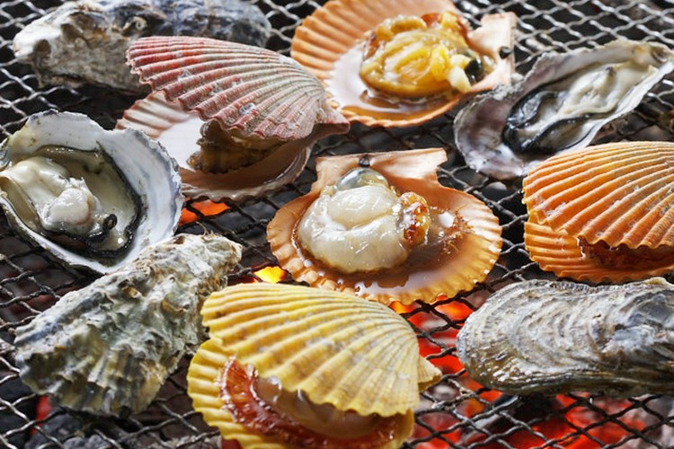 漁師料理 海女 南国/香南/香美/居酒屋 ネット予約可 | ヒトサラ