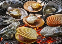 牡蠣、長太郎、サザエ、海老、帆立 等を炭火焼でお楽しみしただけます。
鰹のタタキ、タコ飯、汁物付です。