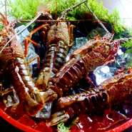 ※伊勢海老は５月から９月までは禁漁ですので、お出しできない場合もございます。

※各商品は時期、仕入れ状況によりお値段変動します。
※金額は店舗までお尋ねください。