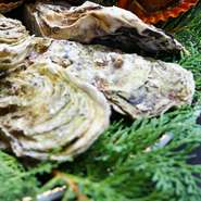 ●完全予約制の為、前日までに要予約

●コース内容、お料理内容等についてはお気軽にお問い合わせください。

●食べ残し、お持ち帰りはご遠慮ください。

●1グループ様が選べるコースは食べ放題コースもしくは海賊焼コースのどちらかになります。１グループ様内での２つ以上のコースの選択はご遠慮願います。