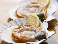 新鮮なカキ、長太郎貝、サザエ、ホタテが90分食べ放題のコースです。