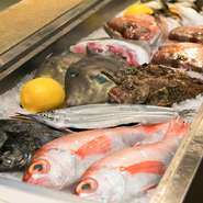 草津市場から毎日直送で届く鮮度抜群の魚介類