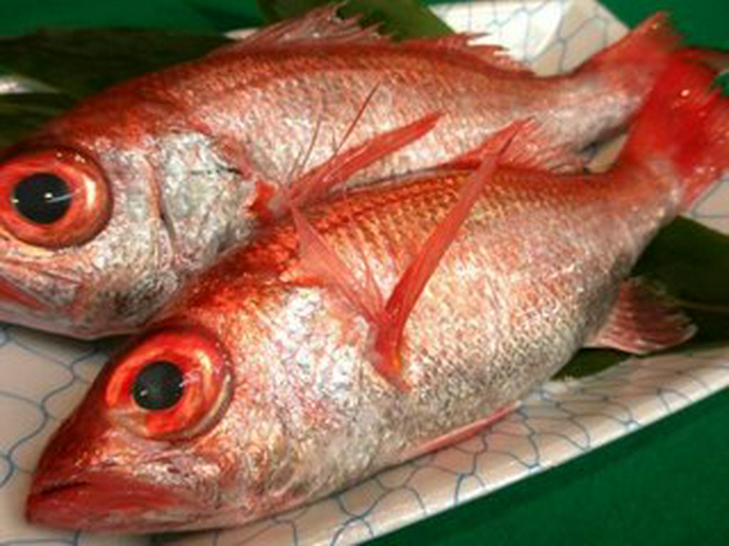 のどぐろ（赤むつ）