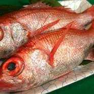 最近マスコミで取り上げられる有名な魚。芸能人にもファンが多いです。めちゃくちゃ旨いです。塩焼が絶品！