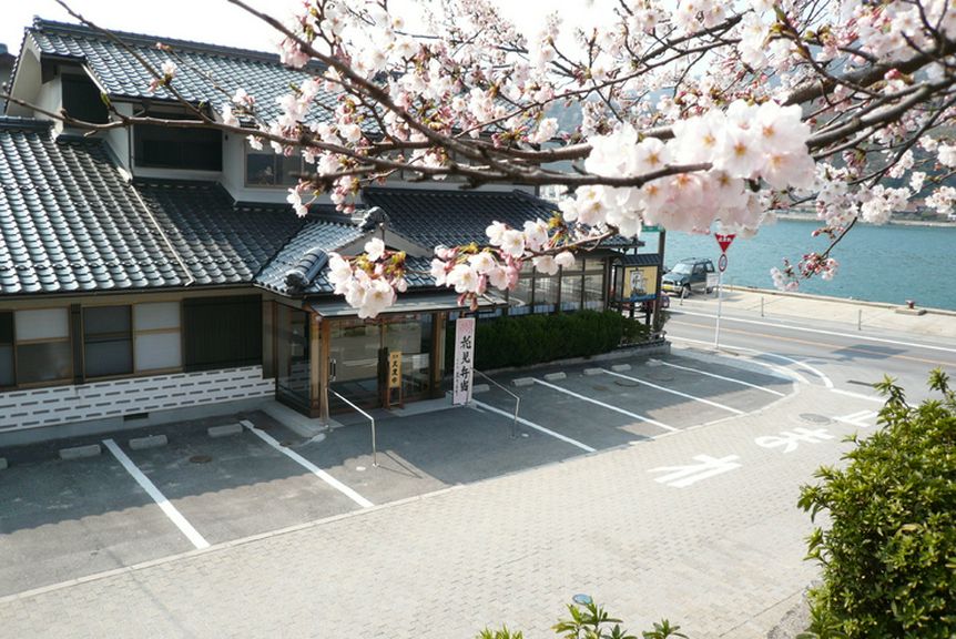 桜の名所、台場公園、海とくらしの資料館に隣接