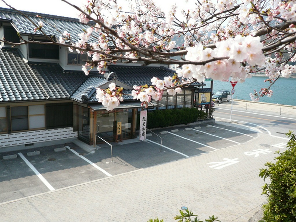 桜の名所、台場公園、海とくらしの資料館に隣接