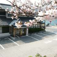 桜の名所、台場公園、海とくらしの資料館に隣接