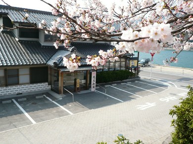 桜の名所、台場公園、海とくらしの資料館に隣接