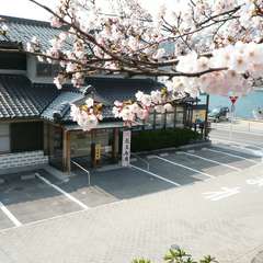 台場公園の桜、まもなく開花！