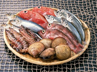 旬な魚介を堪能できる『魚介の鉄板焼き』