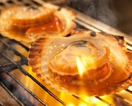 五島列島の天然物を直送で！　新鮮な海の味をご堪能。プリップリのホタテを熱々のうちに召し上がれ！