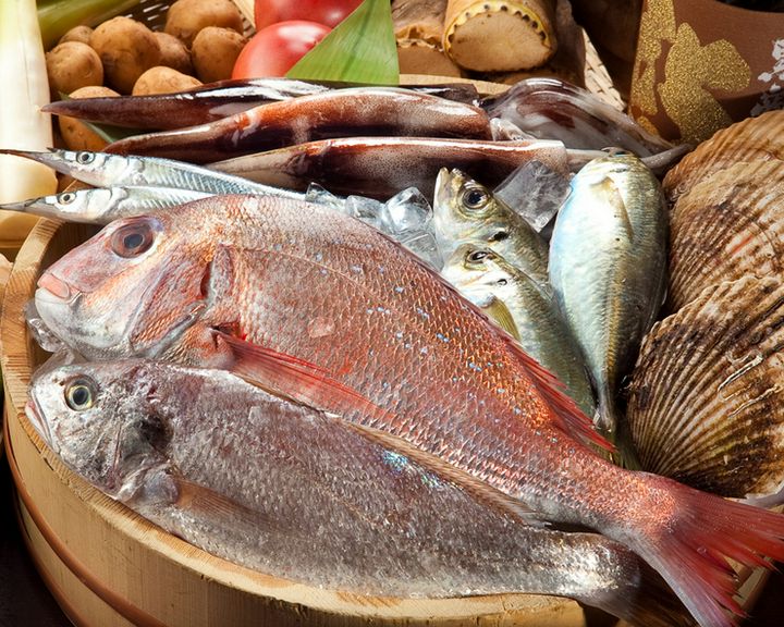 地方の網元からの直送