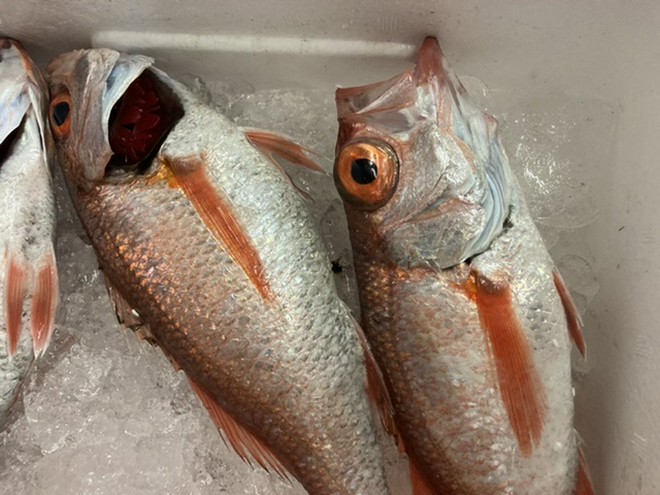 1人でも入りやすい