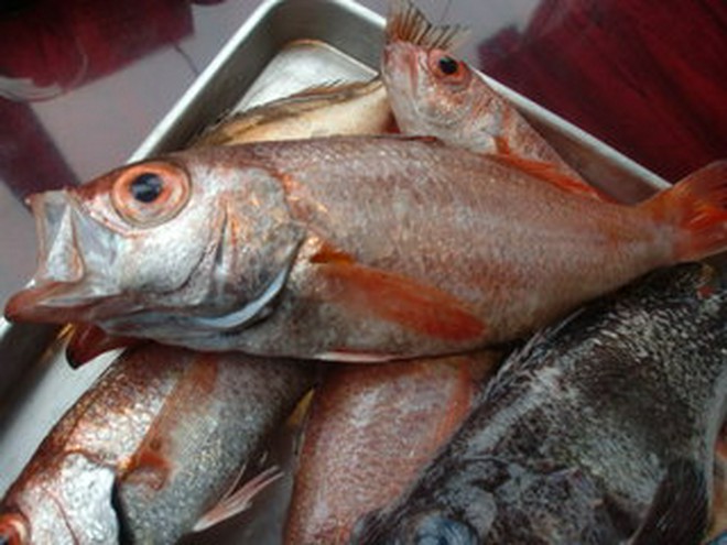 食材にこだわっている