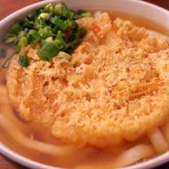 博多代表「ごぼう天うどん」