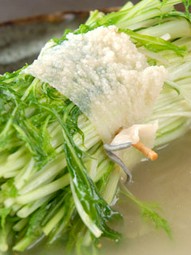 名物　はりはり巻