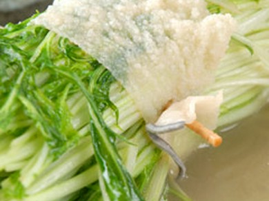 名物　はりはり巻