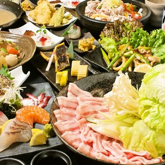 九州各所の郷土料理を極上の味わいで！