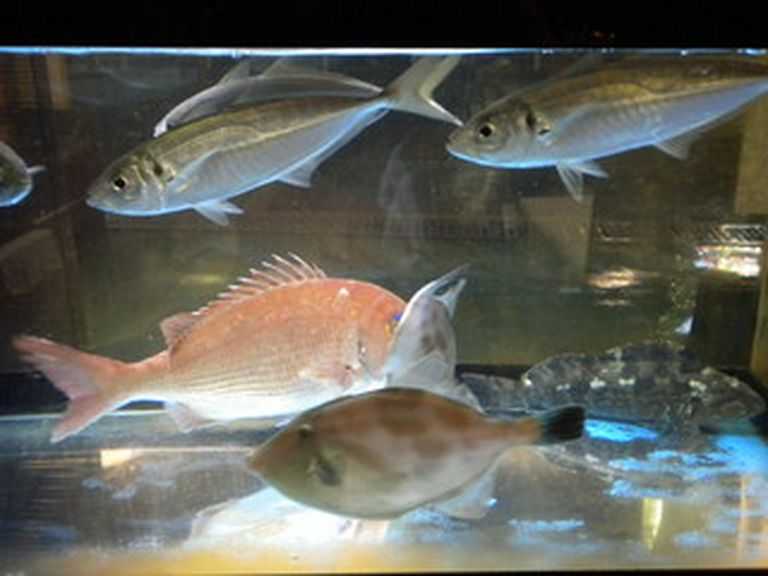 ご要望の食材があれば、ご予約の際にお伝え下さい。