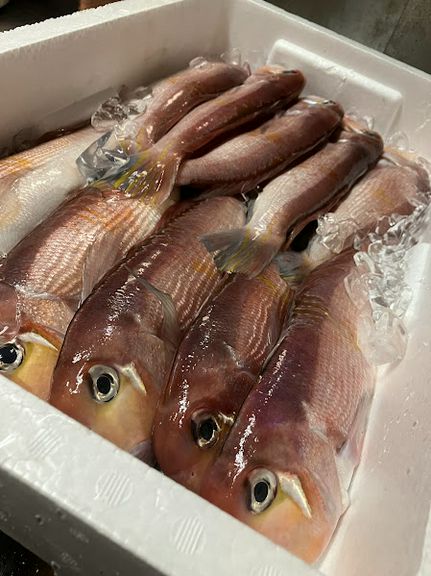 白神の魚提供店