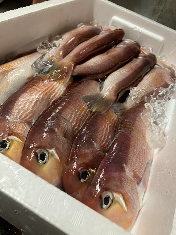 白神の魚提供店