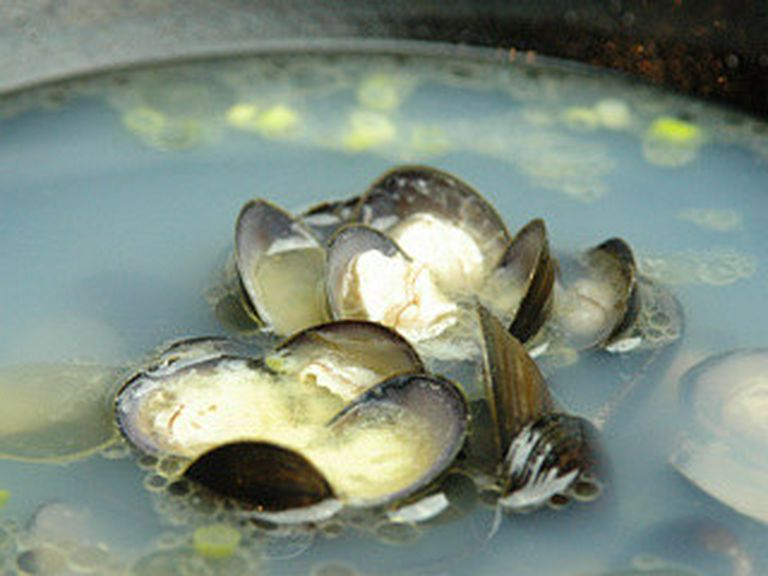 十三湖しじみバター